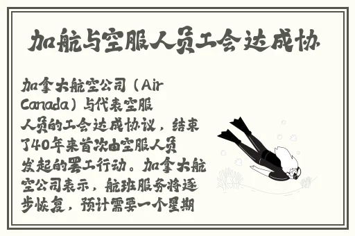 纳西妲坐旅行者的胡萝卜蘑菇